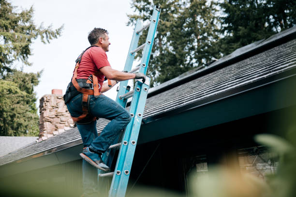 Best Roof Maintenance and Cleaning  in Double Oak, TX